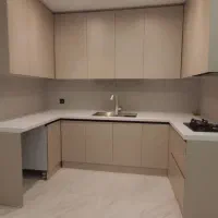 مجموعه نظافت پاکدوست