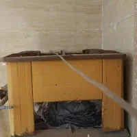 تک شعله سالم