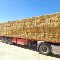 فروش پرس کاه کلش سفال