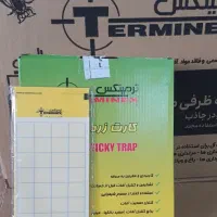 کارت زرد پالیز