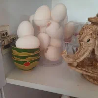 تخم توخالی غاز