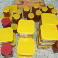 عسل طبیعی سبلان(مشگین شهر)،درجه یک