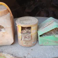 لونه فنچ سه مدل