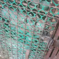 خرگوش|موش و خرگوش|زاهدان, |دیوار