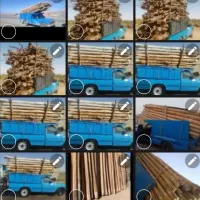 فروش خرید چوب تر وخشک.ساختمانی.وضایعاتی