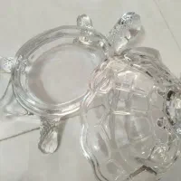 شکلات خوری لاکپشت