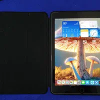 ipad air ۲|تبلت|تهران, شهرک شهید باقری|دیوار
