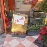 استخدام شاطر رستوران