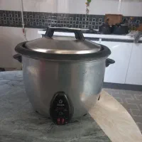 پلو پز ده نفره پویا