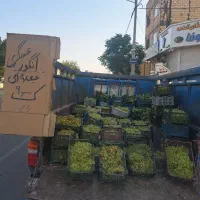 انگور