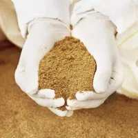 پودر ماهی مخصوص خورام دام و طیور و آبزیان