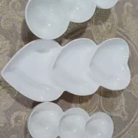 ظروف پذیرایی