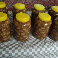 سیر سرکه (انگور) هفت ساله