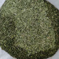 شنبلیله خشک برگ درجه یک قیمت تولید