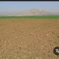 شخم در طالقان