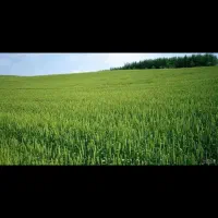 انواع کار کشاورزی