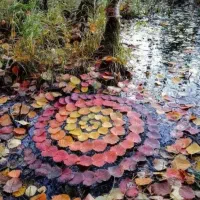 همفکری بازاریابی