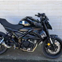 بلنتا Z 249 مدل 1403 خشک