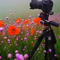 آموزش عکاسی درآتلیه