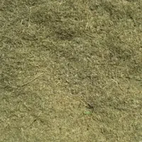 علف