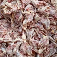 اسکلت مرغ گوشتی