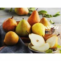 پیش فروش نهال گلابی درگزی پربار