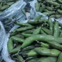چین تازه باقالی رشت