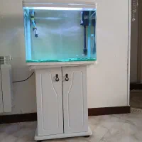 اکواریوم