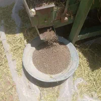 ماشک بدون جو