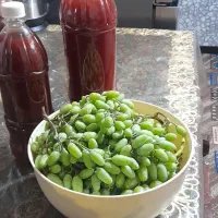 آبغوره ترش