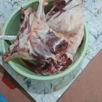 گوشت گوسفندکامل ۲۶میلیون به فروش میرسد