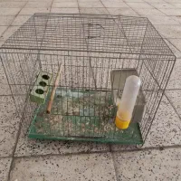 قفس پرنده