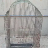 قفس پرنده، مرغ و خروس