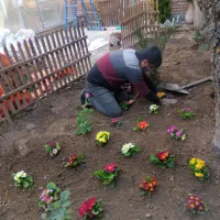 خدمات باغبانی وهرس کاری درکل تهران