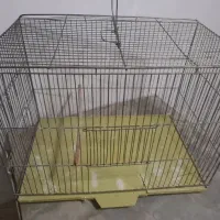 قفس پرنده