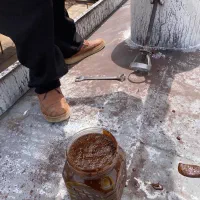 ملاس نیشکر