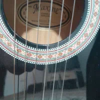 گیتار مکسین مشکی