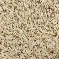 جو کارخانه ای مصارف دامی