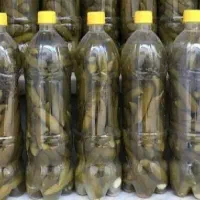 خیار شور محلی اعلا و بهداشتی