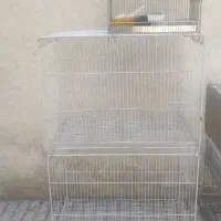 قفس ۶۰ در ۴۰  سهره عروس قناری راهب