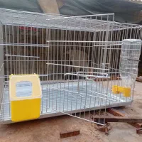 فروش انواع قفس تا شو کبوتری و زینتی
