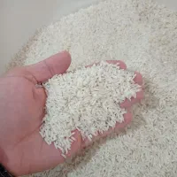 برنج طارم روشن و هاشمی الک شده