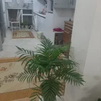 گل شامودرا