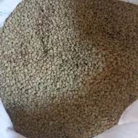عدس،نخود سفید، نخود زرد