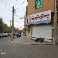 ملک تجاری بربلوار۵۵متری عماریاسر