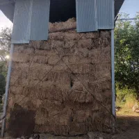 علف
