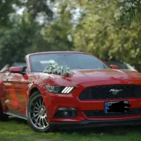 تشریفات عروسی سالن عقد