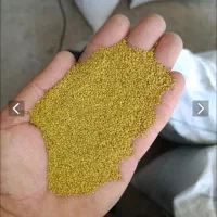 باقیمت استثنائی طلای سبز بخر (انواع بذر)