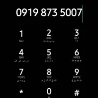 سیم ۹۱۹۵۰۰۷