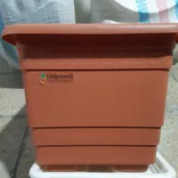 تعدادی گلدان پلاستیکی